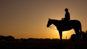 sunrise-horse-edward-betz